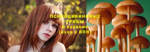молекула духа Мегион