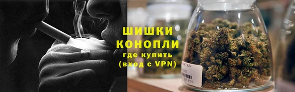 молекула духа Мегион