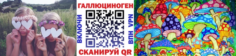 гидра зеркало  купить наркотики цена  Сысерть  Псилоцибиновые грибы MAGIC MUSHROOMS 
